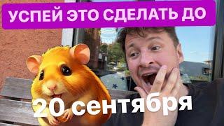 Hamster  20 сентября последний день ФИКСАЦИИ ваших доходов