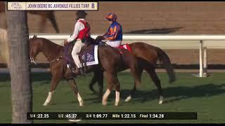 2024/11/1/R8 /RL Moore/Lake Victoria/Age2/T.AP Obrien@1m( Grade1)Del Mar