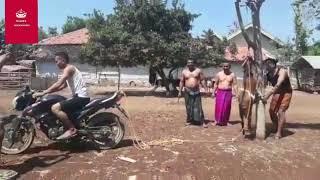 ১৫ সেকেন্ডে ছাগলের চামড়া ছাড়িয়ে নেয়ার নিনজা টেকনিক  !!!!