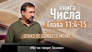 Библия - Числа Глава 11 стихи 4-15 - Отказ от Божьего меню - Ибо так  говорит Писание