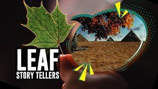 How leaves hold secrets for millions of years!