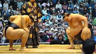 Yokozuna Hakuho vs Yokozuna Kakuryu - Outdoor Sumo