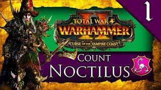 MASTER OF THE DREADFLEET! Total War: Warhammer 2: Vampire Coast: Count Noctilus Campaign Gameplay #1