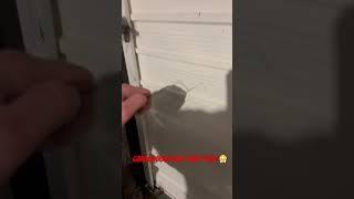 Garage door repair | cable snapped  #garagedooropenerrepair #garagedoorsprings #diy