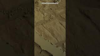 Perseverance Rover Sol 1265 | Mars New 4k Video | Mars 4k Video | Mars In 4k | Mars #shorts