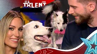 This DOG gets MORE than 200 words and knows how to pose | Auditions 6 | Spain's Got Talent 2023