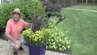 Easy Summer Planter Combination by Footprints Plants