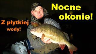 WIELKIE OKONIE w NOCY z metrowej wody! Perch night fishing!