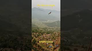 Phoenix paragliding Pokhara Nepal  9709510205