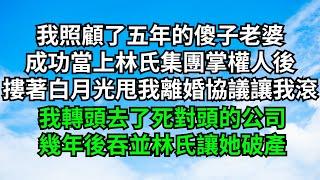 我照顧了五年的傻子老婆，成功當上林氏集團掌權人後，摟著白月光甩我離婚協議讓我滾，我轉頭去了死對頭的公司，幾年後吞並林氏讓她破產【一窗昏曉】#落日溫情#情感故事#花開富貴#深夜淺讀#爽文