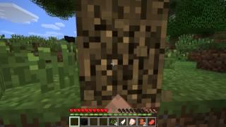 Let's Play Minecraft #001 Unfreundliche Hühner [Deutsch] [HD] [Part1]