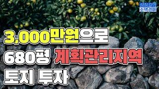 [제주시 구좌읍] 3,000만원으로 680평 계획관리지역 토지 투자 (지금이 제주도 투자 적기!)