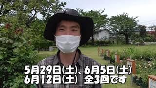 バラの育て方講習会　～大好評につき今年も開催します！～　なかのバラまつり