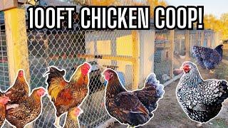 Touring a Farm with Goats, Sheep & 100 Foot Chicken Pen | Hatching All Colored Wyandotte Chickens