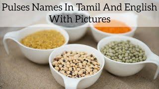 பயறு பருப்பு வகைகளின் பெயர்கள் தமிழ், ஆங்கிலத்தில் | pulses names in tamil and english with pictures