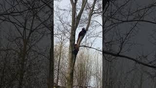  Red Pandas get the Zoomies?!? 