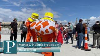 Martin Z. Mollusk sees his shadow in Ocean City