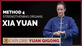 Qigong demonstration | Discover the beauty of Yuan Qigong | Xia Yuan - Fourth Method