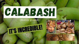 The Incredible Things About Calabash