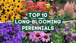 10 Long Blooming Perennials for a Colorful Garden   // PlantDo Home & Garden 