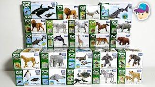 24 SEA ANIMALS, WILD ANIMALS, ZOO ANIMALS - Takara Tomy Ania animal toy collection