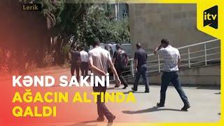 Kənd sakininin üstünə ağac aşıb | Lerik