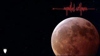 Pearl Jam - Superblood Wolfmoon