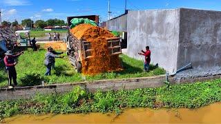 Start New Project Flooded Landfill Fight Border !! Bulldozer Old try Push Stone with Truck Spreading