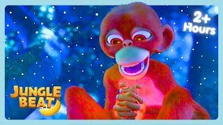 Cold Stuff!  | Jungle Beat |  WildBrain Bananas