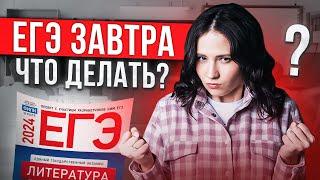 ЧТО ДЕЛАТЬ ЗА 1 ДЕНЬ ДО ЕГЭ ПО ЛИТЕРАТУРЕ?  || Юля Литра EL - ЕГЭLAND