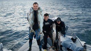 Spearfishing Green Jobfish & Dogtooth Tuna