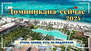 Доминикана сейчас 2024: отели, пляжи, есть ли водоросли - iDominicana.com