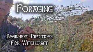 Foraging,  Beginners Practices for witchcraft, Pagan Crafting