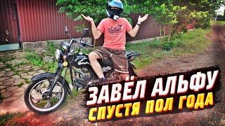 ЗАВЁЛ АЛЬФУ ВПЕРВЫЕ ЗА ПОЛ ГОДА! ПОКАТУШКИ НА МОПЕДЕ АЛЬФА! АЛЬФАВОД ВЕРНУЛСЯ!