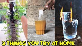 Upcycle plastic bottles into flower pot | Turmeric experiment | Zero-waste lifestyle tips