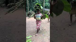 La Etnia Baka en la Selva de Camerún y su Conexión con la Naturaleza #africa #culture #travel