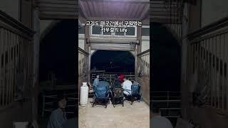 고기도 마굿간에서 구워먹는 카우걸의 일상