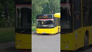 МАЗ-215Большой респект водителю! #maz #automobile #liaz