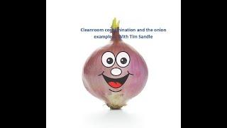 Cleanroom contamination control, as illustrated with an onion