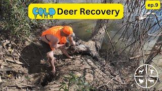 Cold Wet Deer Recovery