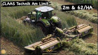 Hier kommt selbst das neue Claas Mähwerk ans Limit! 2m Roggen & 62T/HA Lohnauftrag Häckseln & Mähen