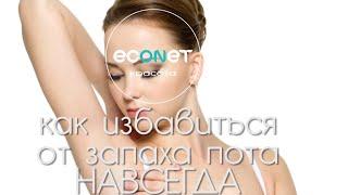 КАК ИЗБАВИТЬСЯ от запаха ПОТА НАВСЕГДА! | econet.ru