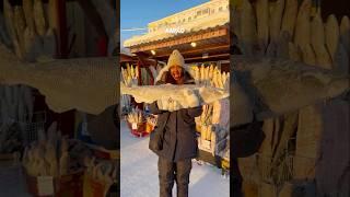 -50 ° C in the Coldest city in the world 