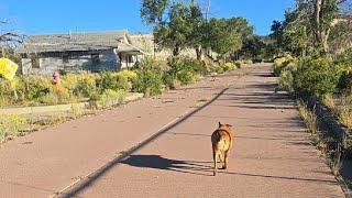 Exploring an Abandoned Atomic World War II Town in New Mexico