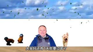 还有7天过年了，可我高兴不起来，上午还是去看看她
