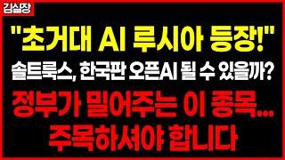 [솔트룩스]"이 기업 없으면 대한민국 AI 멈춥니다｜진짜 초거대 AI의 핵심"
