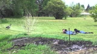 Angry Goose Chases Teens