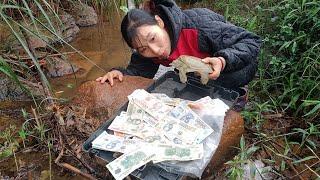 A box containing a lot of money was found inside and a turtle was found in the stream