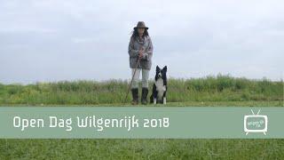 Open Dag Wilgenrijk | 2018 | Schapen en natuur, een ontspannen omgeving