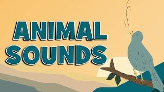 Animal Sounds for Children | Sounds of the Animal Kingdom | Kids Grade #kidsgrade